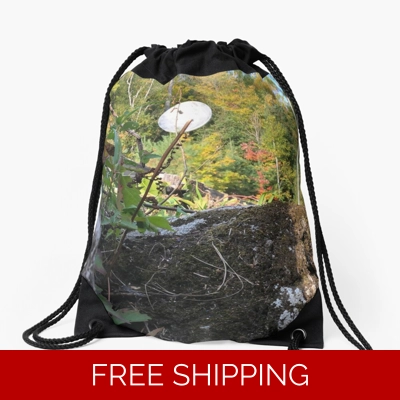 Le Studio Drawstring Bag Satellite Dish 2019